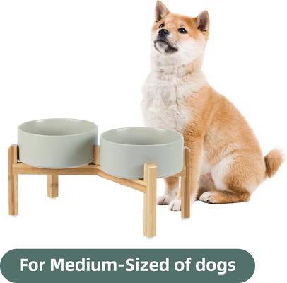 Show full view: Havniva Ceramic Raised Dog Double Bowl Set with Stand, Grey, 7.3-in slide 3 of 8
