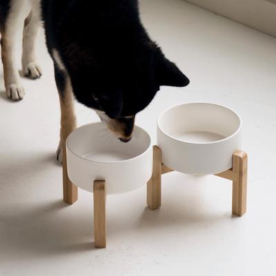 Show full view: Havniva Ceramic Raised Dog Double Bowl Set with Stand, White, 6-in slide 7 of 7