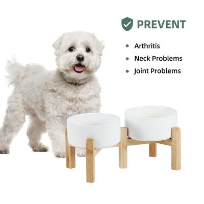 Show full view: Havniva Ceramic Raised Dog Double Bowl Set with Stand, White, 6-in slide 4 of 7
