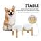 Show in main carousel: Havniva Ceramic Raised Dog Double Bowl Set with Stand, White, 6-in slide 5 of 7