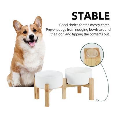 Show full view: Havniva Ceramic Raised Dog Double Bowl Set with Stand, White, 6-in slide 5 of 7