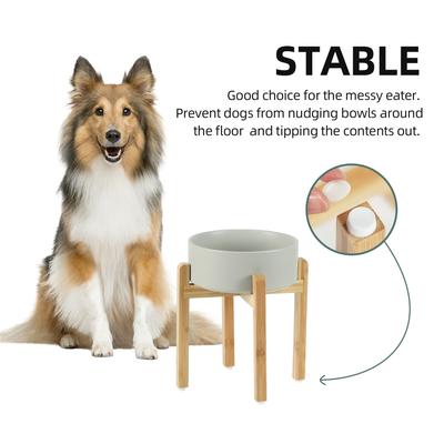 Show full view: Havniva Ceramic Elevated Dog Bowl Set, 8.2-in, Grey slide 6 of 8