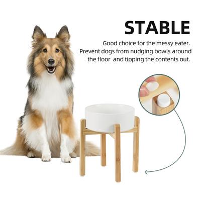 Show full view: Havniva Ceramic Elevated Dog Bowl Set, 8.2-in, White slide 5 of 7