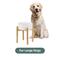 Show in main carousel: Havniva Ceramic Elevated Dog Bowl Set, 8.2-in, White slide 3 of 7