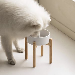 Havniva Ceramic Elevated Dog Bowl Set, 8.2-in, White