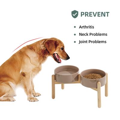 Show full view: Havniva Ceramic 8.2-in Elevated Dog Double Bowl with Stand, Brown Coffee slide 4 of 6