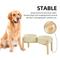 Show in main carousel: Havniva Ceramic 8.2-in Elevated Dog Double Bowl with Stand, Beige slide 5 of 6