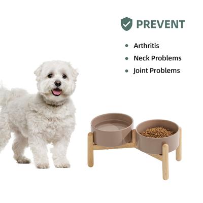 Show full view: Havniva Ceramic 6-in Raised Dog Double Bowl with Stand, Brown Coffee slide 5 of 8