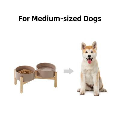 Show full view: Havniva Ceramic 6-in Raised Dog Double Bowl with Stand, Brown Coffee slide 4 of 8