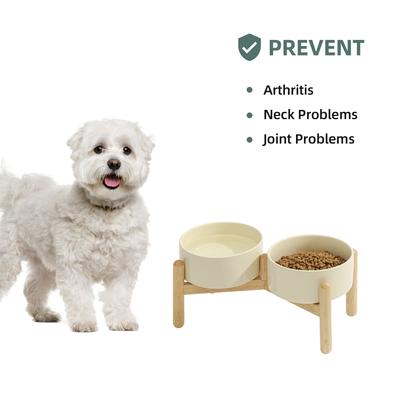 Show full view: Havniva Ceramic 6-in Raised Dog Double Bowl with Stand, Beige slide 5 of 8