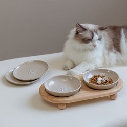 Havniva Ceramic Adjustable Elevated Cat Bowl with 2 Style Stand, 5.6-in, Vintage Latte