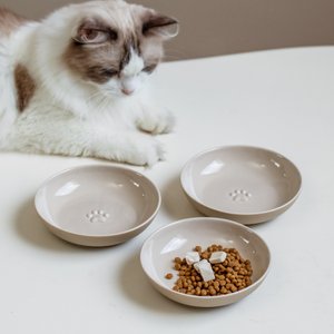 Havniva Ceramic Non-Skid Cat Bowl, 5.6-in, 3 count, Vintage Latte
