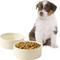 Show in main carousel: Havniva Ceramic Anti-Slip Bowl for Small Dogs & Cats, Beige, 6-in, 2 count slide 1 of 6