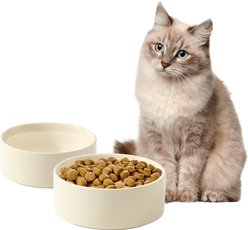 Havniva Ceramic Anti-Slip Cat Bowl, 5.1-in, 2 count, Beige slide 1 of 6