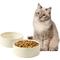 Show in main carousel: Havniva Ceramic Anti-Slip Cat Bowl, 5.1-in, 2 count, Beige slide 1 of 7
