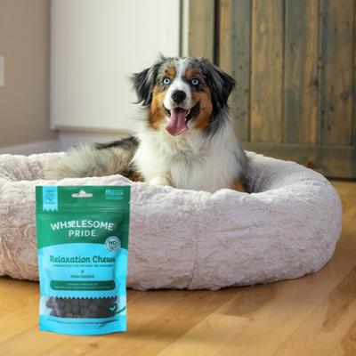 Show full view: Wholesome Pride Pet Treats Relaxation Turkey Flavor Calming Chew Supplement for Dogs, 6.3-oz bag slide 8 of 12