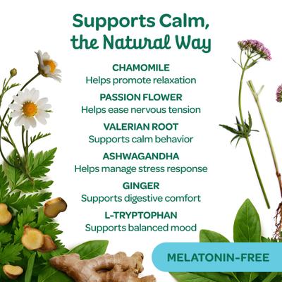 Show full view: Wholesome Pride Pet Treats Relaxation Turkey Flavor Calming Chew Supplement for Dogs, 6.3-oz bag slide 3 of 12