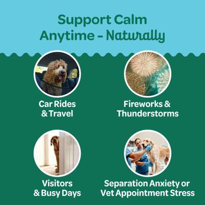 Show full view: Wholesome Pride Pet Treats Relaxation Turkey Flavor Calming Chew Supplement for Dogs, 6.3-oz bag slide 6 of 12