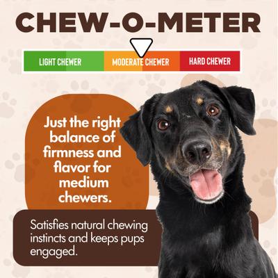 Show full view: Scoochie Pet Chewka Mixed Variety Pack Bacon, Chicken & Cheese Flavored Plant-Forward Fully Digestible Dog Chew Bone, Large, 6 count slide 5 of 8