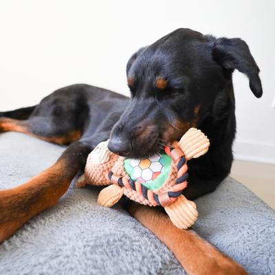 Show full view: SteelDog USA Ropers Flat Sport Bear Crinkle Plush Dog Toy slide 2 of 6