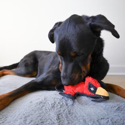 Show full view: SteelDog USA Ruffian Yard Bird Cardinal Crinkle Plush Dog Toy slide 2 of 6