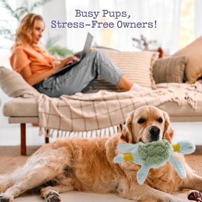 Show full view: Fuzzwoof Stretchy-Squeaky Turtle Plush Dog Toy slide 6 of 9