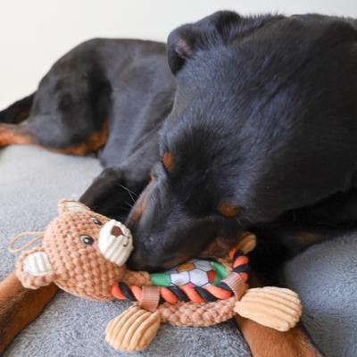 Show full view: SteelDog USA Ropers Flat Sport Bear Crinkle Plush Dog Toy slide 4 of 6