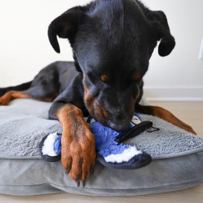 Show full view: SteelDog USA Ruffian Yard Bird Blue Jay Crinkle Plush Dog Toy slide 2 of 6