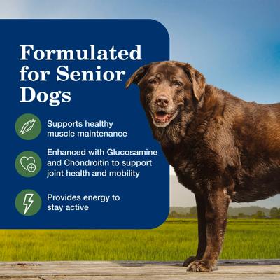 Show full view: Blue Buffalo Homestyle Recipe Senior 7+ Lamb & Vegetable Dinner Pate Canned Wet Dog Food, 12.5-oz can, case of 12 slide 5 of 10