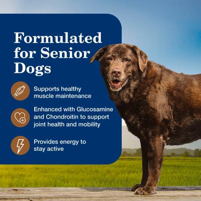 Show full view: Blue Buffalo Homestyle Recipe Senior 7+ Turkey & Vegetable Dinner Pate Canned Wet Dog Food, 12.5-oz can, case of 12 slide 5 of 11