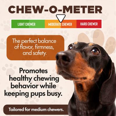 Show full view: Scoochie Pet Chewka Bacon Flavored Plant-Forward Fully Digestible Dog Chew Bone, Medium, 6 count slide 5 of 8