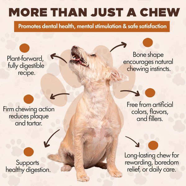 Scoochie Pet Chewka Cheese Flavored Plant-Forward Fully Digestible Dog Chew Bone, Medium
