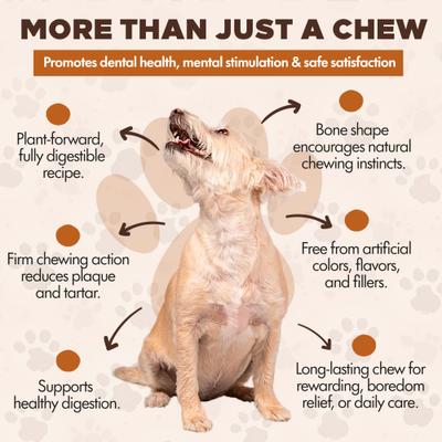 Show full view: Scoochie Pet Chewka Chicken Flavored Plant-Forward Fully Digestible Dog Chew Bone, Medium, 6 count slide 7 of 8