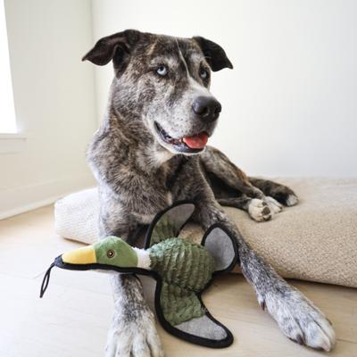 Show full view: SteelDog USA Ruffian Bird Duck Plush Dog Toy slide 2 of 6