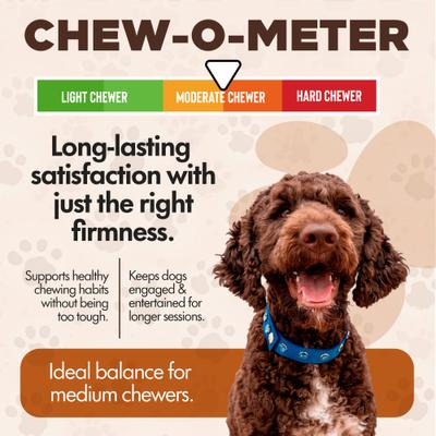 Show full view: Scoochie Pet Chewka Cheese Flavored Plant-Forward Fully Digestible Dog Chew Bone, Medium, 1 count slide 5 of 8