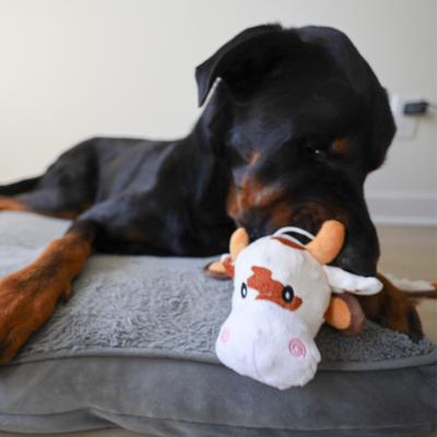 Show full view: SteelDog USA Flat Bumpy Brown Cow Less Stuffing Plush Dog Toy slide 2 of 6