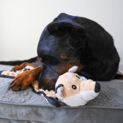 Show full view: SteelDog USA Flat Bumpy Fox Less Stuffing Plush Dog Toy slide 4 of 5
