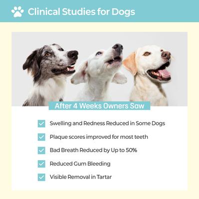 Show full view: Laboflex Pofi Pet Film Strip Oral Health Dental Supplement for Dogs, 90-mg pouch, 30 count slide 9 of 11