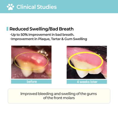 Show full view: Laboflex Pofi Pet Film Strip Oral Health Dental Supplement for Dogs, 90-mg pouch, 30 count slide 7 of 11