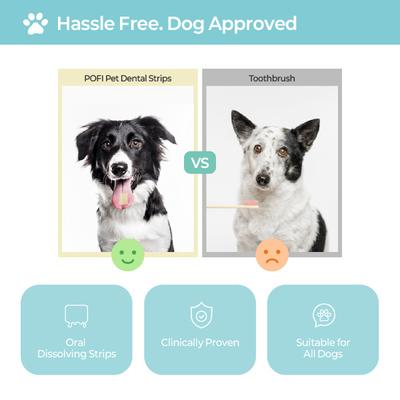 Show full view: Laboflex Pofi Pet Film Strip Oral Health Dental Supplement for Dogs, 90-mg pouch, 30 count slide 4 of 11