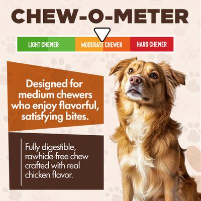 Show full view: Scoochie Pet Chewka Chicken Flavored Plant-Forward Fully Digestible Dog Chew Bone, Large, 1 count slide 5 of 8