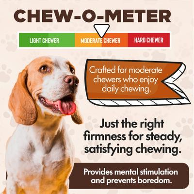 Show full view: Scoochie Pet Chewka Bacon Flavored Plant-Forward Fully Digestible Dog Chew Bone, Large, 6 count slide 5 of 8