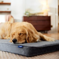 Frisco Quilted Orthopedic Pillow Lounger Cat & Dog Bed with Removable Cover, Gray, XX-Large