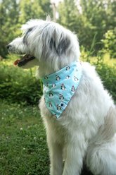Dog Bandana Co. Reindeer & Penguin Dog Bandana, Small: 6 to 14-in neck slide 2 of 4