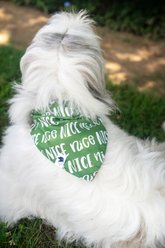 Dog Bandana Co. Christmas Naughty Nice Dog Bandana, Red, Large: 20 to 27-in neck slide 2 of 3