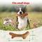 Show in main carousel: Gigwi Wooden Chewy Bone Dog Toy, Beige, Small slide 4 of 9