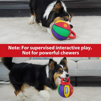 Show full view: Gigwi Jumball Basketball Dog Toy with Handle, Multi, 5.5-in slide 5 of 9