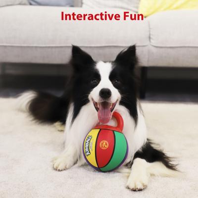 Show full view: Gigwi Jumball Basketball Dog Toy with Handle, Multi, 5.5-in slide 4 of 9