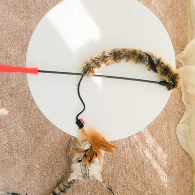 Show full view: Gigwi Wand Fishing Feather Teaser Stick Cat Toy, Brown, 21-in slide 5 of 9