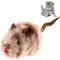 Show in main carousel: Gigwi Melody Chaser Squeay Mouse Cat Toy, Grey slide 1 of 8